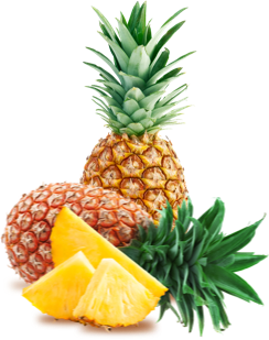 careebiz-pineapple
